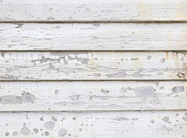 Best Hoarding Cleanup  in Cheyenne, WY